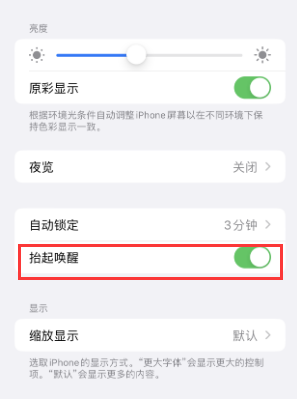 郾城苹果授权维修站分享iPhone轻点无法唤醒怎么办