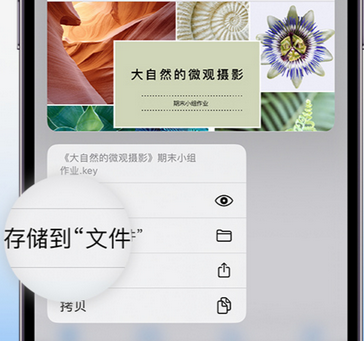 郾城apple维修中心分享iPhone文件应用中存储和找到下载文件