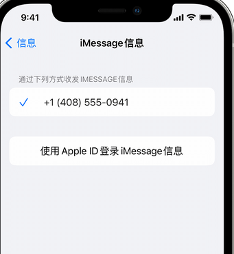 郾城apple维修iPhone上无法正常发送iMessage信息 