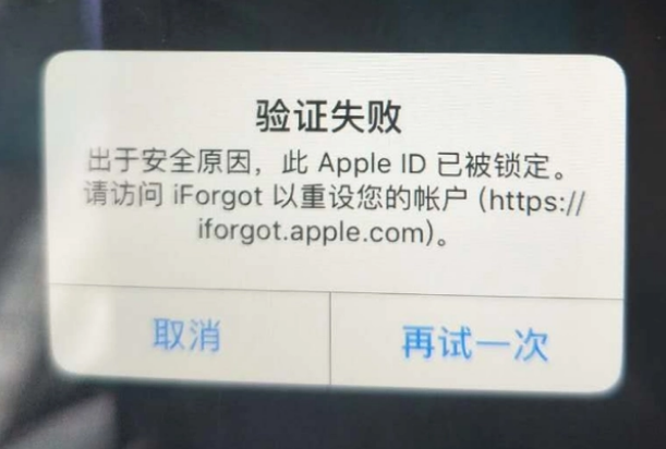 郾城iPhone维修分享iPhone上正常登录或使用AppleID怎么办 