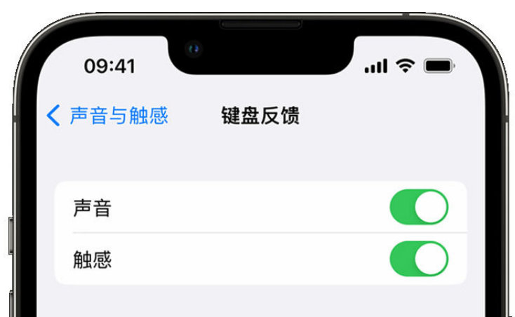 郾城苹果手机维修分享iPhone 14触感键盘使用方法 