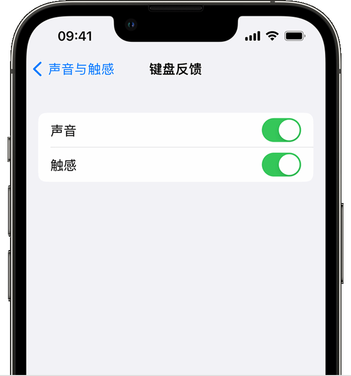 郾城苹果14维修店分享如何在 iPhone 14 机型中使用触感键盘 