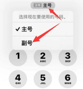 郾城苹果14维修店分享iPhone 14 Pro Max使用副卡打电话的方法 