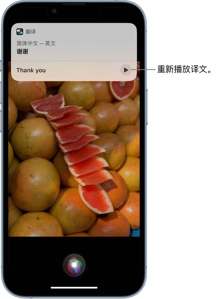 郾城苹果14维修分享 iPhone 14 机型中使用 Siri：了解 Siri 能帮你做什么 