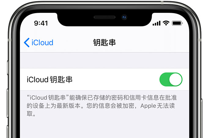 郾城苹果手机维修分享在 iPhone 上开启 iCloud 钥匙串之后会储存哪些信息 