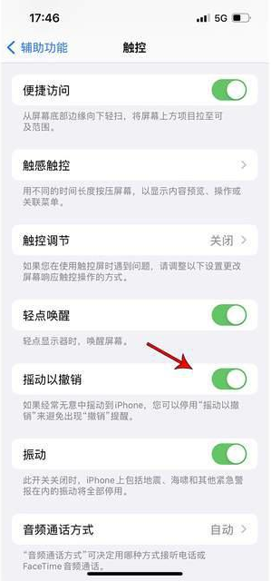 郾城苹果手机维修分享iPhone手机如何设置摇一摇删除文字 