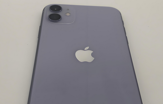 郾城苹果11系统维修分享iPhone11手机系统崩溃无法开机如何解决